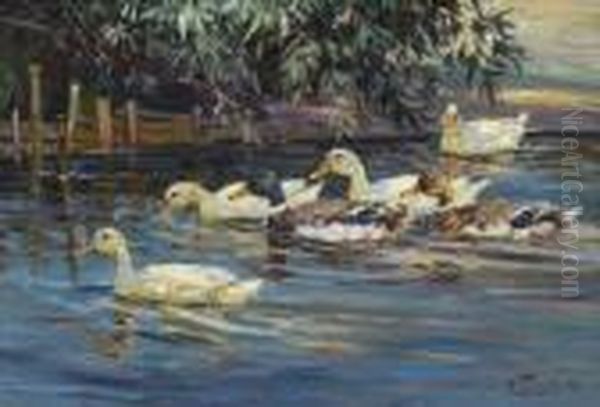 Enten Am Ufer. Oil Painting by Willy Tiedjen