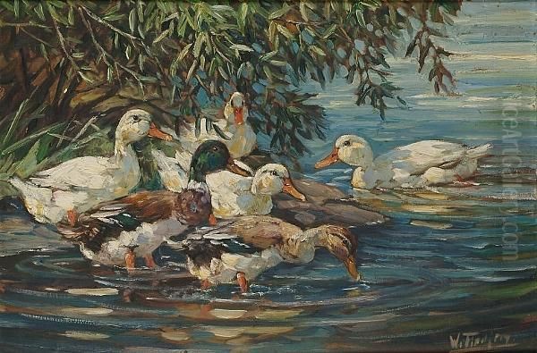 Ducks On The Water Oil Painting by Willy Tiedjen