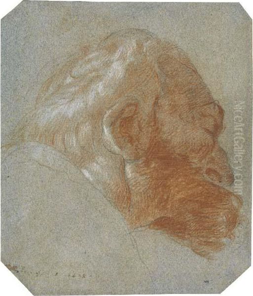 Head Of A Bearded Old Man In Profile To The Right Oil Painting by Lorenzo Baldissera Tiepolo