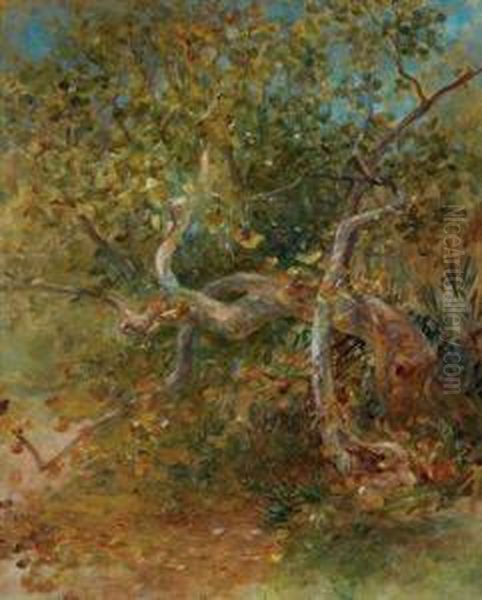 Tree And Leaves, Comfort Lodge, Florida Oil Painting by Louis Comfort Tiffany