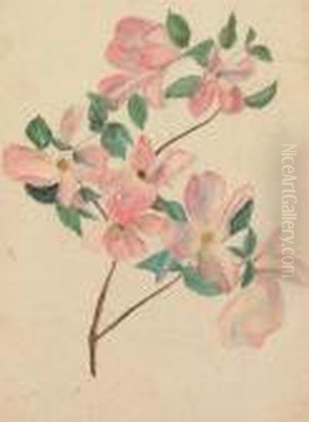 Dogwood Branch Oil Painting by Louis Comfort Tiffany