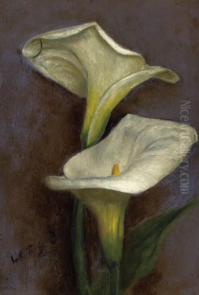 Calla Lilies Oil Painting by Louis Comfort Tiffany