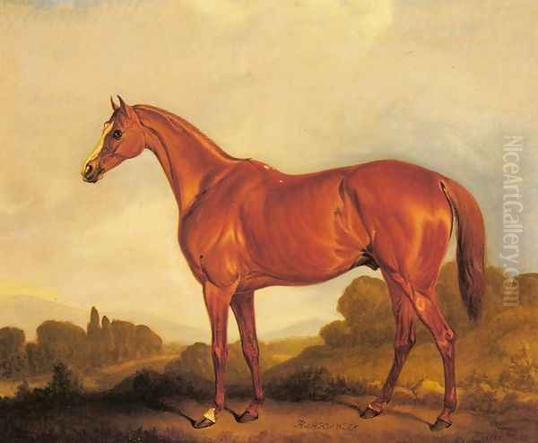 A Portrait of the Racehorse Harkaway, the Winner of the 1838 Goodwood Cup Oil Painting by John Snr Ferneley