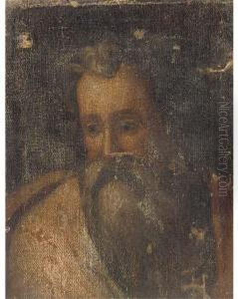 A Male Saint Oil Painting by Domenico Tintoretto