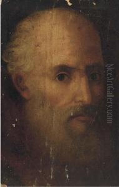 Head Of A Bearded Man Oil Painting by Domenico Tintoretto