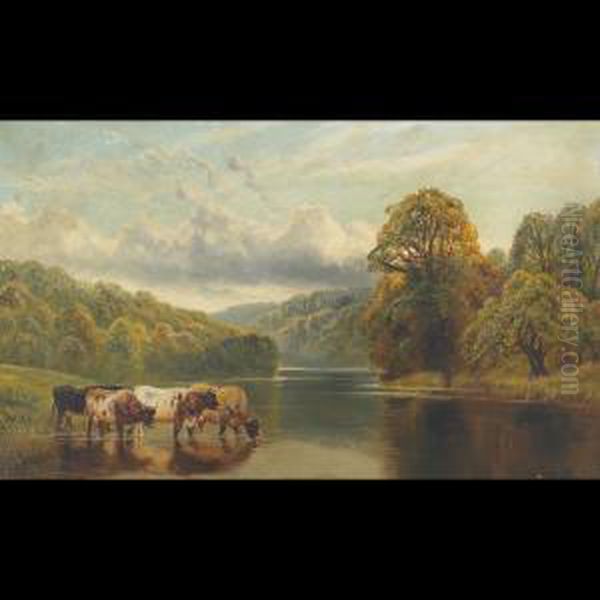 Cattle Watering In A Lake Oil Painting by William Vivian Tippet