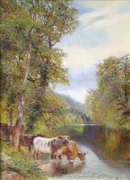 Tippet Cattlewatering In A River Oil Painting by William Vivian Tippet