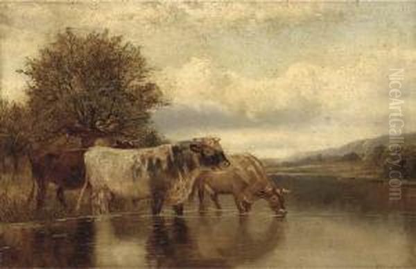 Cattle Watering In A Lake Landscape Oil Painting by William Vivian Tippet