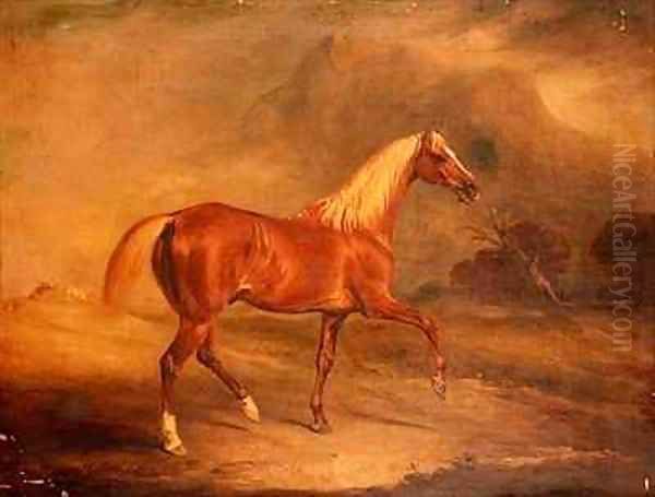 Chestnut Arab Stallion Oil Painting by John Snr Ferneley