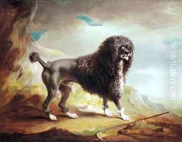 A Clipped Water Spaniel Oil Painting by John Snr Ferneley