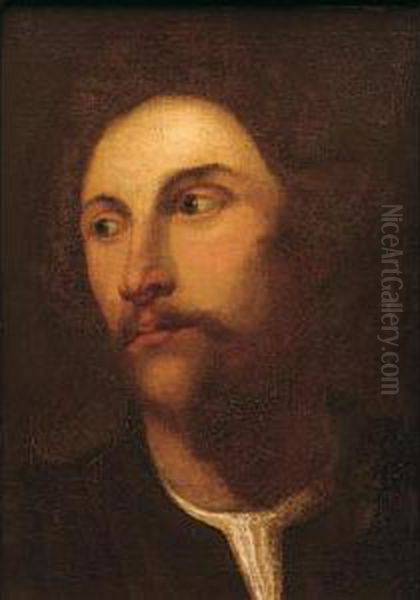 Ritratto Di Giovane Oil Painting by Tiziano Vecellio (Titian)