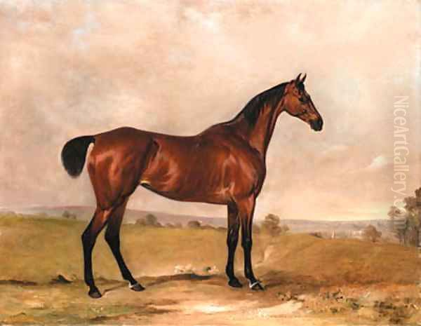 A Bay Hunter in an Extensive Landscape Oil Painting by John Snr Ferneley