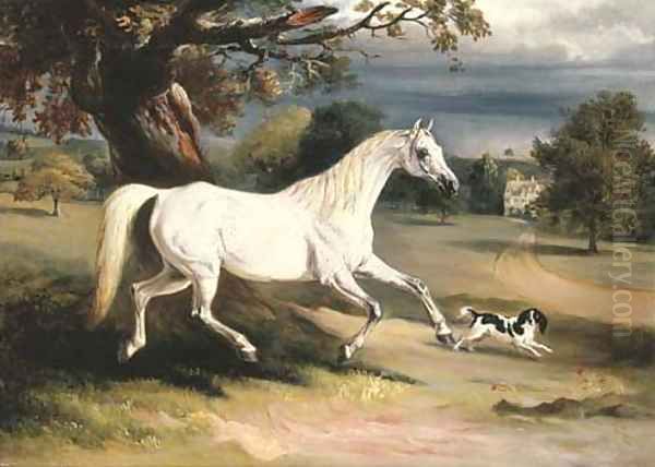 Mr. Dawson's Phoebus, a grey hunter with a spaniel, in the grounds of Launde Abbey, Leicestershire Oil Painting by John Snr Ferneley