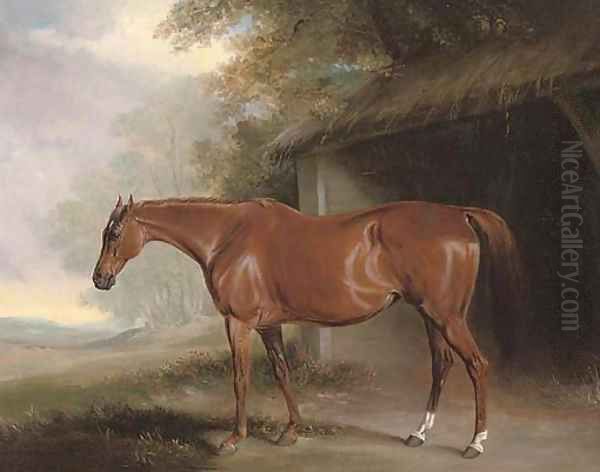 A chestnut hunter outside a stable Oil Painting by John Snr Ferneley