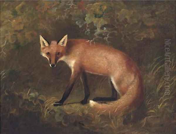 A fox in shrubbery Oil Painting by John Snr Ferneley