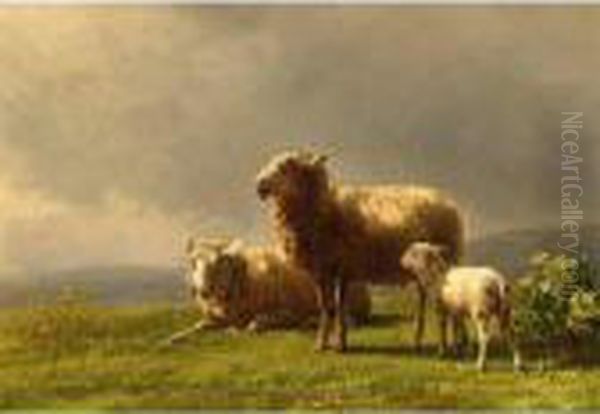 Sheep In A Meadow Oil Painting by Jan Bedijs Tom