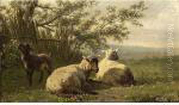 Schapen Oil Painting by Jan Bedijs Tom