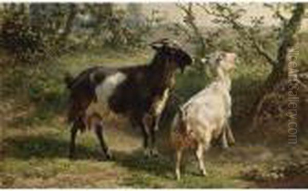 Two Goats Oil Painting by Jan Bedijs Tom