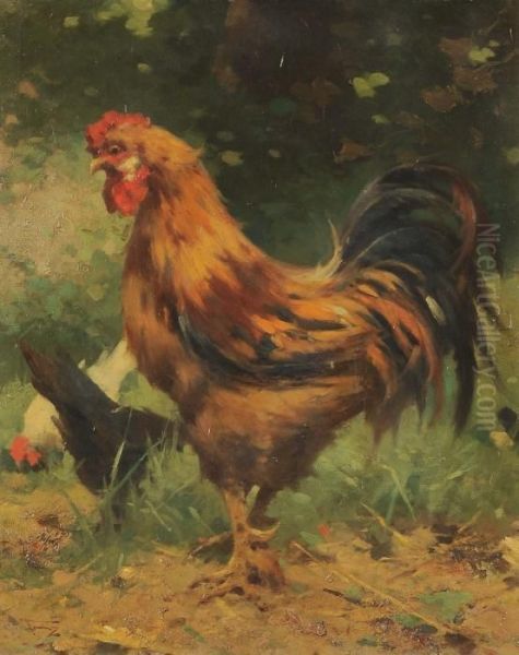 Il Gallo Oil Painting by Alfredo Tominz