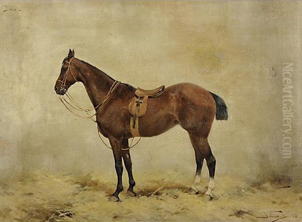 Cavallo Da Corsa Oil Painting by Alfredo Tominz