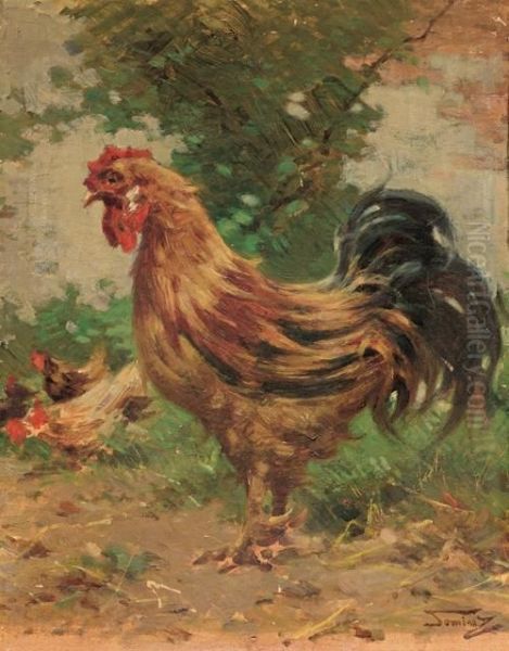 Gallo Nell