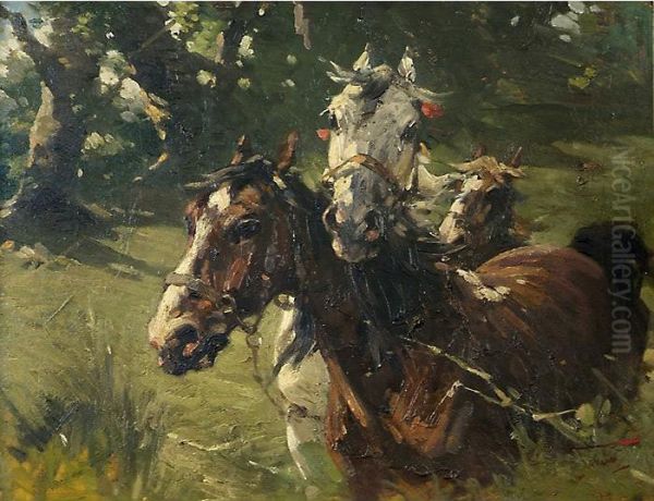 Cavalli Nel Prato Oil Painting by Alfredo Tominz