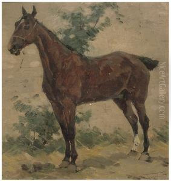 Cavallo Oil Painting by Alfredo Tominz