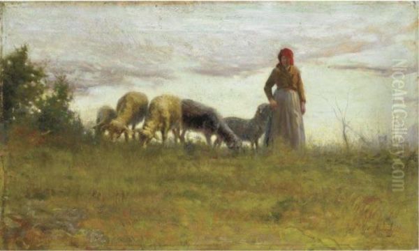 Pecore Al Pascolo Oil Painting by Adolfo Tommasi