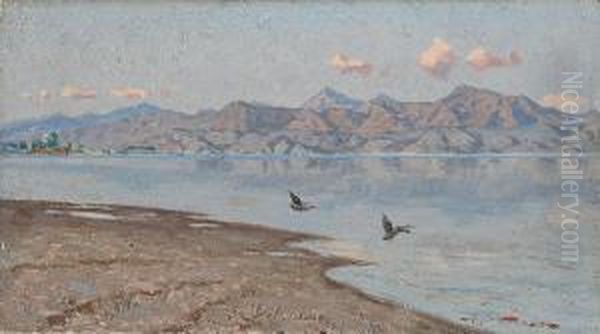 Le Alpi Apuane Viste Dallago Di Massaciuccoli Oil Painting by Angiolo Tommasi