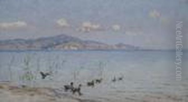 Anatre A Torre Del Lago Oil Painting by Angiolo Tommasi