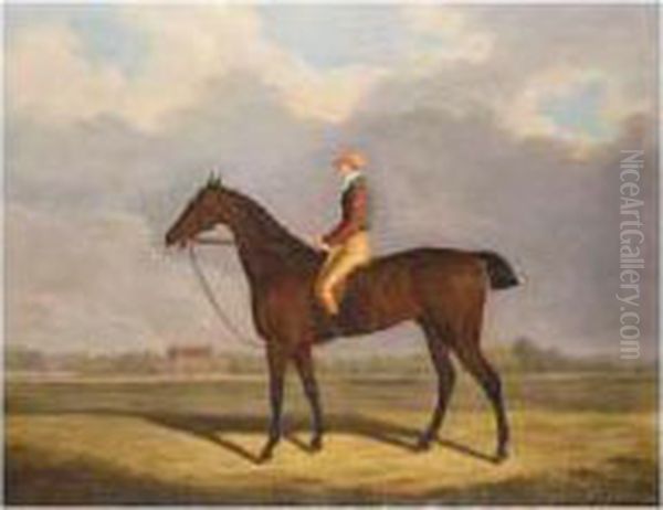 Fulford With Jockey Up Oil Painting by Clifton Tomson