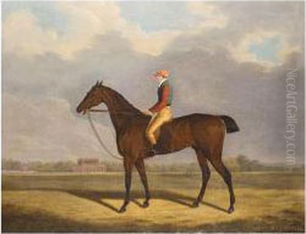 ``fulford' With Jockey Up Oil Painting by Clifton Tomson