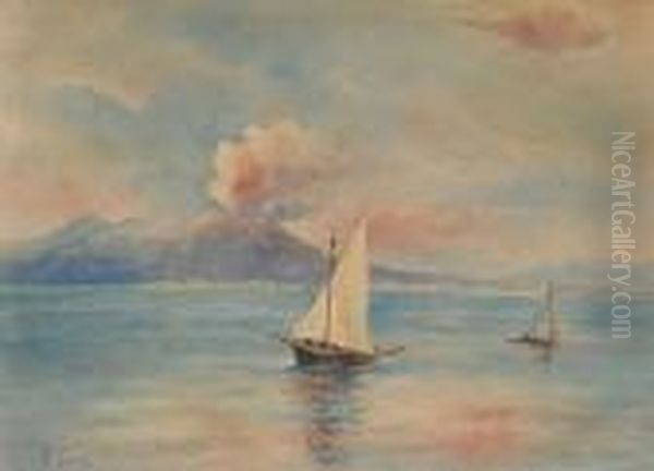 Marina Con Lo Sfondo Del Vesuvio Oil Painting by Francesco Saverio Torcia