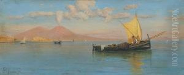 Golfo Di Napoli Con Barche E Pescatori Oil Painting by Francesco Saverio Torcia