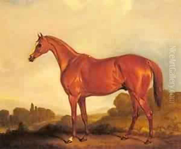 A Portrait Of The Racehorse Harkaway Oil Painting by John Faulkner