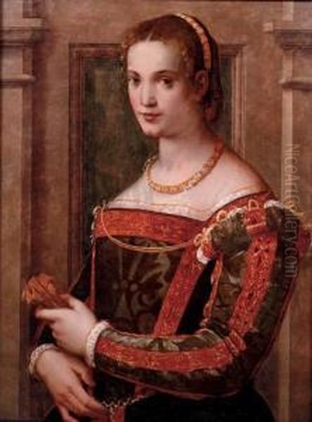 Portrait Of A Lady Oil Painting by Michele di Ridolfo del Ghirlandaio (see Tosini)