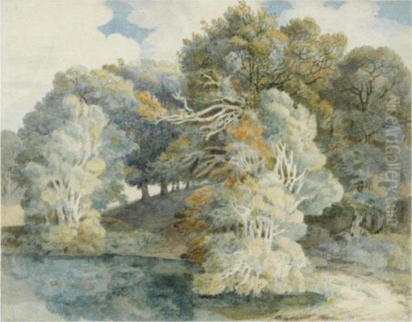 Trees By The Lake, Peamore Park, Near Exeter Oil Painting by Francis Towne