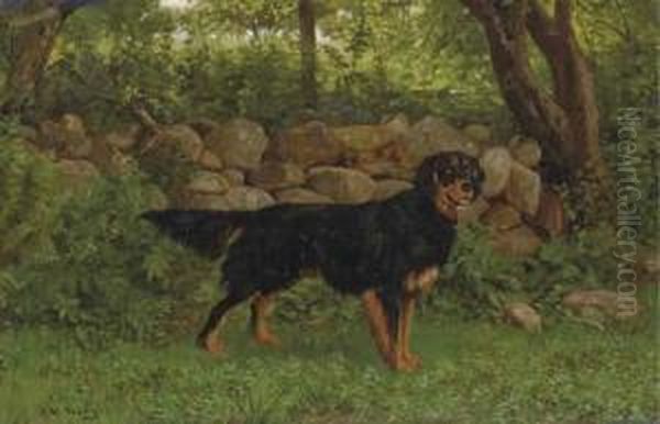 A Gordon Setter By A Wood Oil Painting by John Martin Tracy