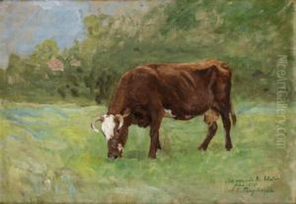 Betande Ko. Oil Painting by Carl Tragardh