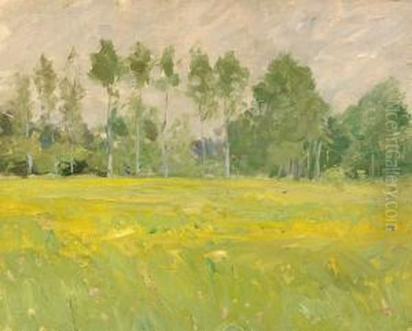 Landskap Oil Painting by Carl Tragardh