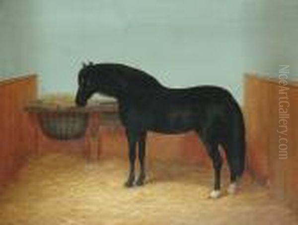 A Black Pony In A Stable Oil Painting by William Henry Hamilton Trood