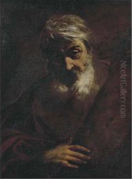 Testa Di Vecchio Barbuto (sant'andrea Apostolo?) Oil Painting by Girolamo Troppa