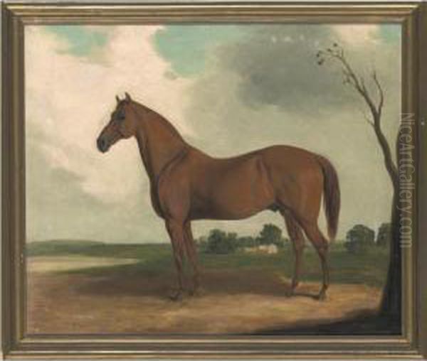 A Chestnut Horse Oil Painting by Edward Troye