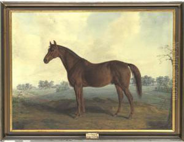 Australian Oil Painting by Edward Troye