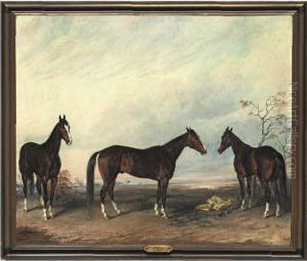 Dexter Represented In Three Positions Oil Painting by Edward Troye