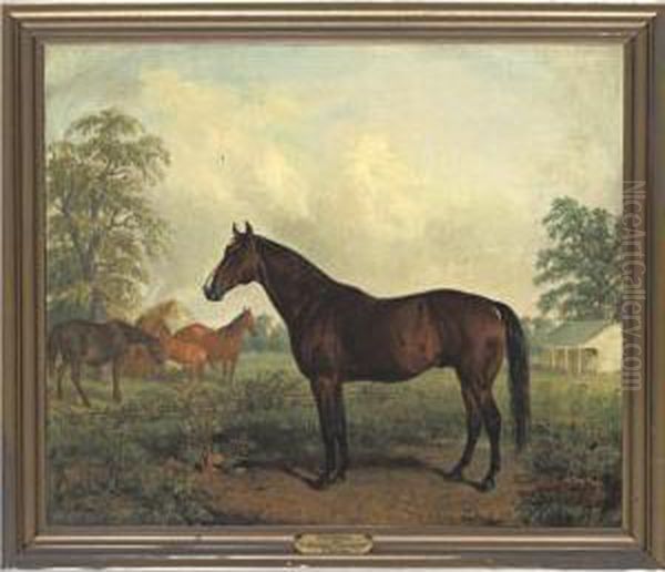 Waverly, By Australian Out Of Cicley Jopson Oil Painting by Edward Troye