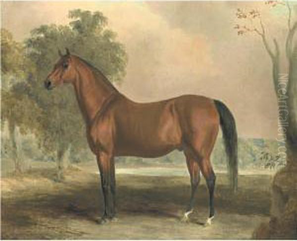 Bertrand, By Sir Archy Oil Painting by Edward Troye