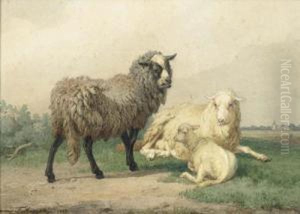 Sheep. 1868. Oil Painting by Edmond Jean Baptiste Tschaggeny