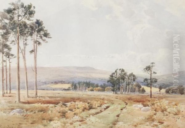 Perthshire Landscape Oil Painting by Frederick Tucker