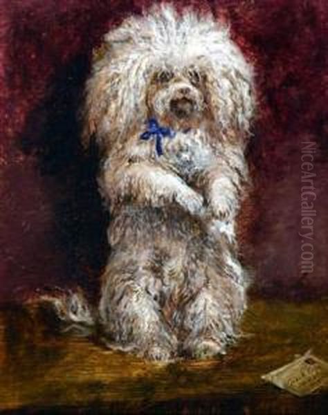 The Poodle Messenger Oil Painting by Celestino Turletti